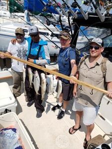 Four people enjoying cruises and fishing in Minnesota