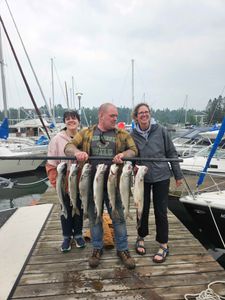 5 lake trout and rainbow trout caught at Knife River