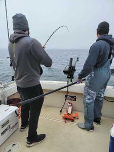 Scenic lake view in Minnesota with fishing cruises
