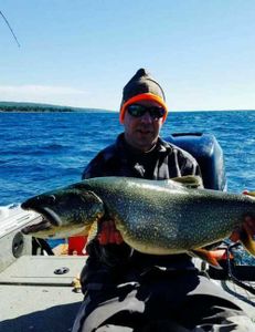 A magnificent Lake Trout caught in the Knife River