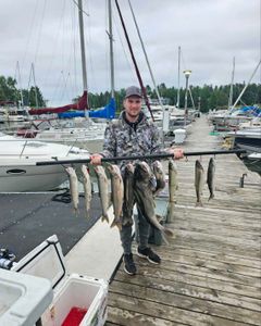7 blasted fish caught in MN while cruising and fishing