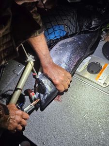 Picturesque landscape in MN