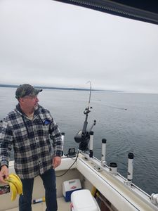 Scenic outdoor landscape of Minnesota