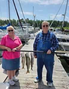 Three fish caught at Knife River