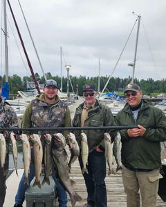 9 rainbow trout and lake trout, large fish caught in Minnesota