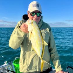 Angler fishing in Florida