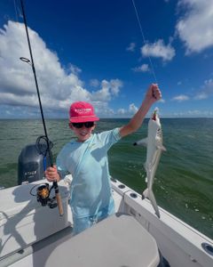 Angler fishing in Islamorada