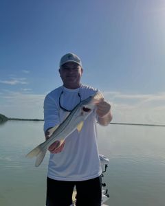 One person fishing in FL