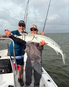 Great Barracuda fish caught while fishing in FL