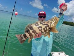 Photo of a Nassau Grouper fish caught while fishing in Islamorada