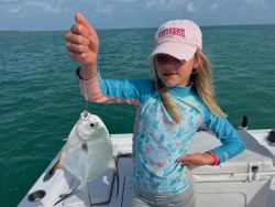 Permit fish caught in Islamorada, Florida