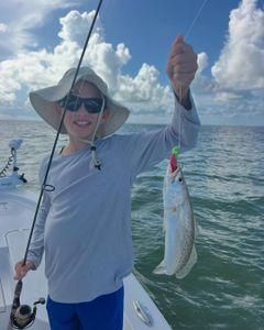 A fisherman holds a spotted weakfish in FL