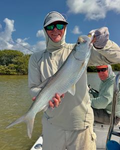 A tarpon fish being caught by two people in FL