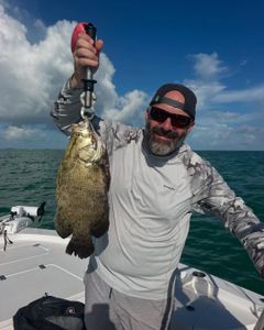 A person holding a tripletail fish in Islamorada