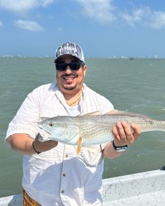 Fish-Species