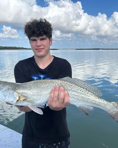 Fish-Species