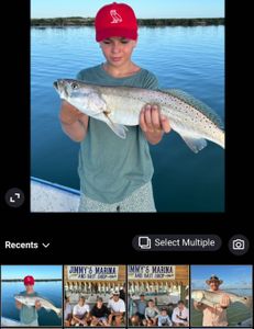 Fish-Species