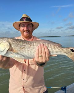 Fish-Species