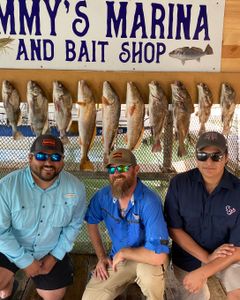 8 Black Drum and Freshwater Drum fish caught by 4 people in TX
