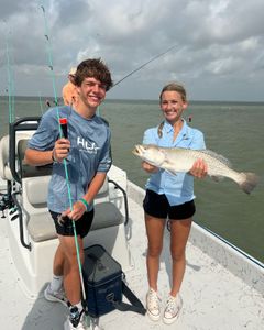 Fish-Species