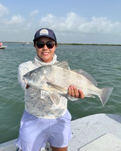 Caught a black drum fish while fishing in TX