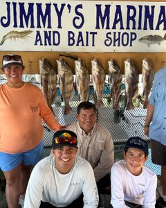 8 black drum fish caught in TX