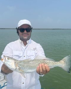 Fish-Species