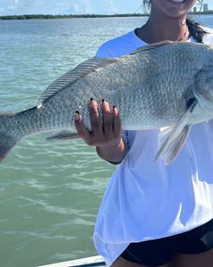 Fish-Species