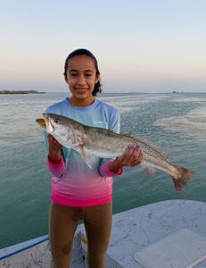Fish-Species