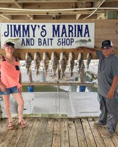 Fresh caught fish displayed at Jimmy's Marina and Bait Shop in Port Isabel TX