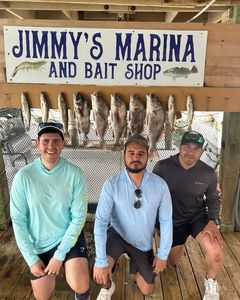 Fishing trip display at Jimmy's Marina and Bait Shop in Port Isabel TX showing caught fish hanging on rack