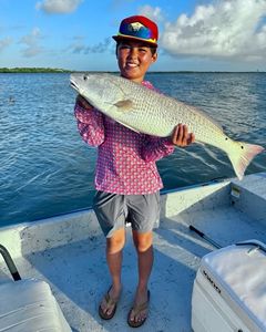 Redfish catch on fishing boat in Port Isabel TX waters