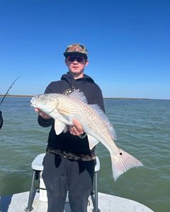 Redfish catch held on fishing boat in Port Isabel TX waters