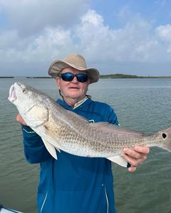 Redfish catch displayed on fishing boat in Port Isabel TX waters