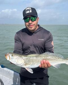 Freshly caught speckled trout held over boat in Port Isabel TX waters