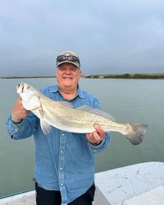 Speckled trout catch from Port Isabel TX fishing trip