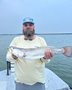 Speckled trout catch from Port Isabel TX fishing trip