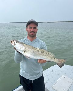Angler holding large speckled trout caught while fishing in Port Isabel TX waters