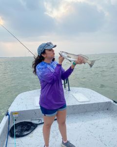 Rainbow trout, a 17-inch fish, caught in Port Isabel