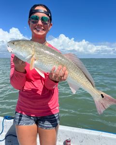 Redfish, 27 inches, caught while fishing in Port Isabel