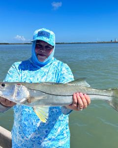 Snook, a Texas fishing and hunting adventure