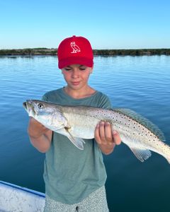 Spotted weakfish caught in Port Isabel