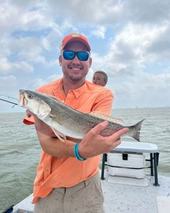 Spotted Weakfish caught in TX