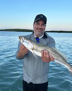 A spotted weakfish caught while fishing in Port Isabel