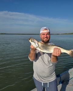 Spotted Weakfish caught in Port Isabel