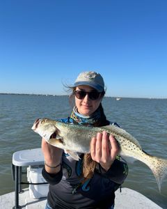 A 22-inch Spotted Weakfish caught while fishing in TX