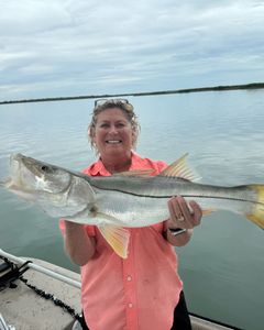 A single snook fishing in TX