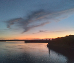 Best cruises, fishing, and tours in FL