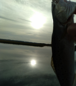 Fishing tour in Florida