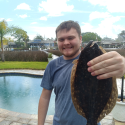 Summer Flounder caught at Jacksonville Beach